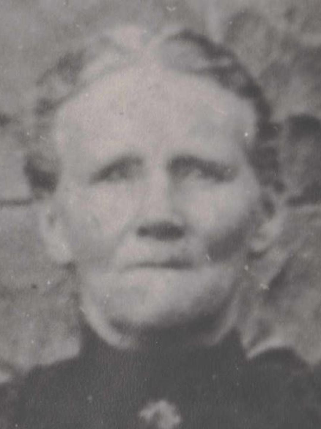 Anne Jowett (1848 - 1917) Profile